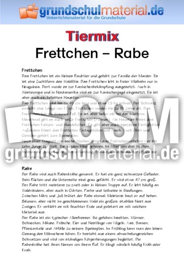 Frettchen - Rabe.pdf